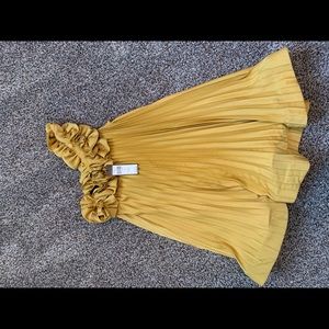 BCBCMaxazria Cece dress new with tags